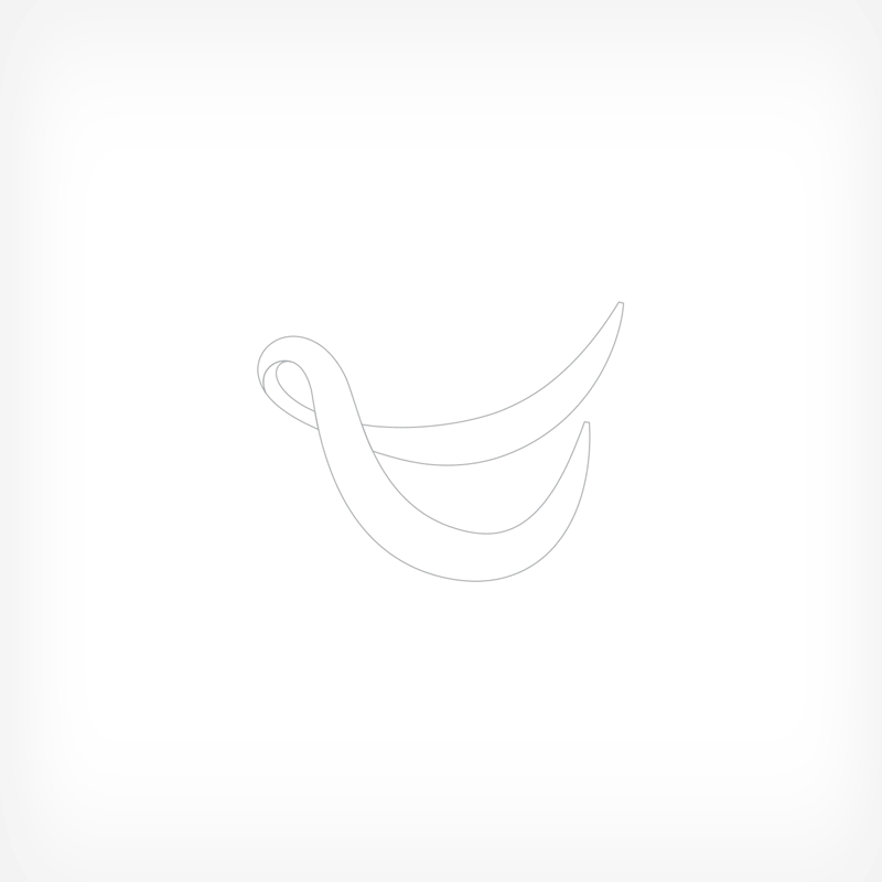 OCDO Logo animated gif